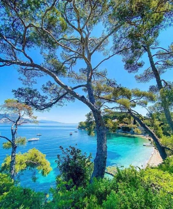 Saint Jean Cap Ferrat Grand Studio Avec Terrasse Exterior foto